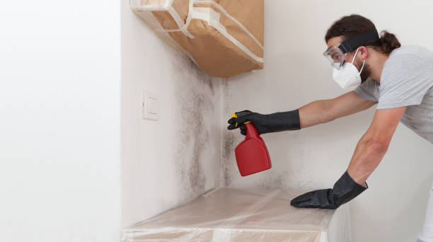 Professional Attic Mold Remediation technician working in Deerfield Beach, FL